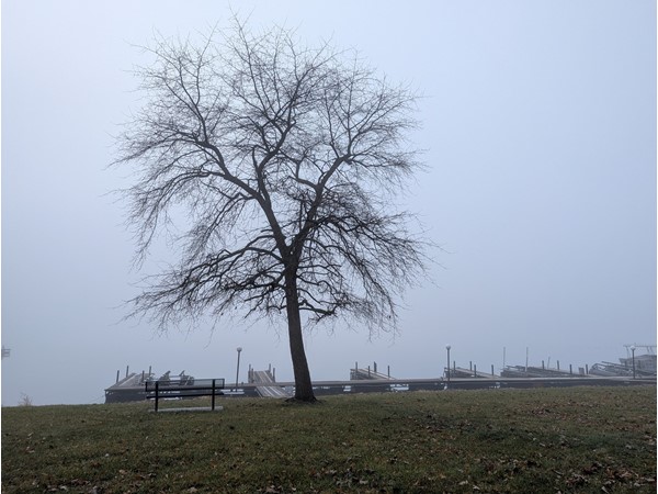 Dock slips available to rent for HOA members