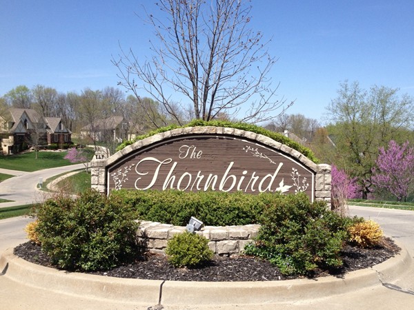 A beautiful subdivision, The Thornbird is in Independence