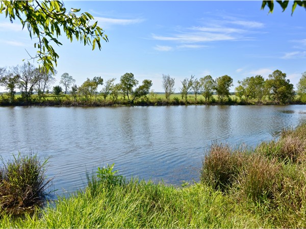 Beautiful acreage with a pond