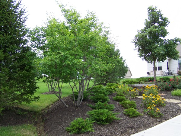 Landscaped area on NW 86th Street maintained by Northfield Village HOA