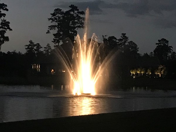 Beautiful fountain in one of the area lakes 
