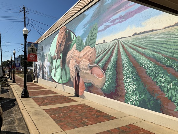 Mural of the Boll Weevil on W College Street