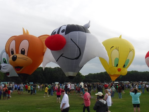 Alabama Jubilee Hot Air Balloon Classic at Point Mallard Park