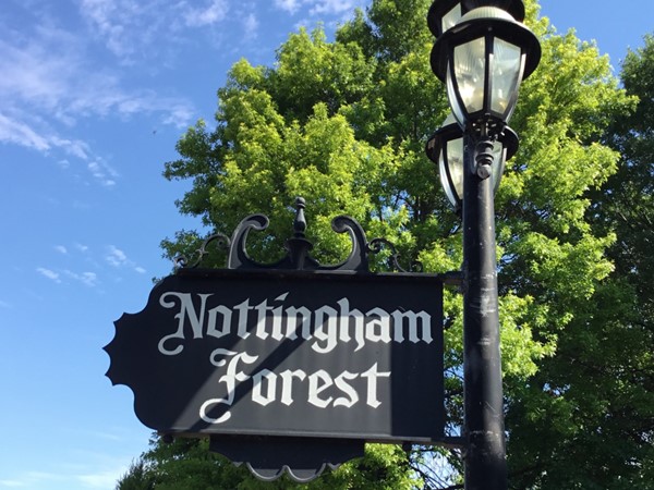 Nottingham Forest light pole sign
