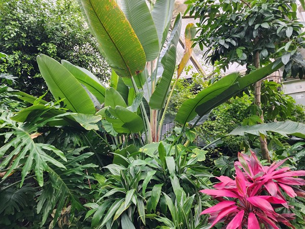 Tropical Rainforest Dome at the Topeka Zoo