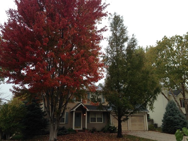 Homes under the changing leaves of fall in Prairie Meadows, Lawrence