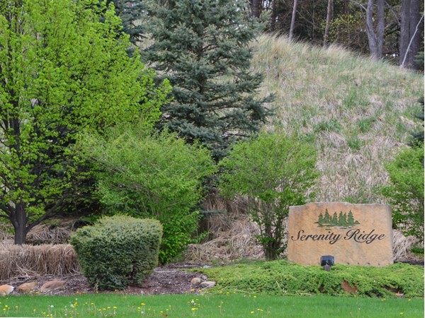 Serenity Ridge is just steps away from the beautiful Millennium Park.