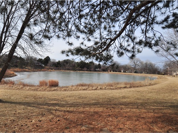 Scenic lake at Forest Lake Estates.