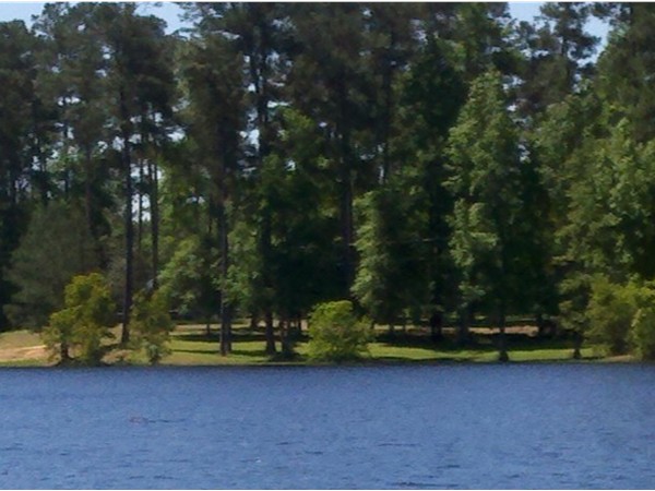 Alford's Lake in Osyka MS