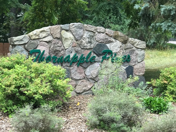 Welcome to Thornapple Pines