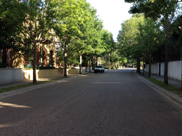 Tree lined streets are found throughout River Ranch