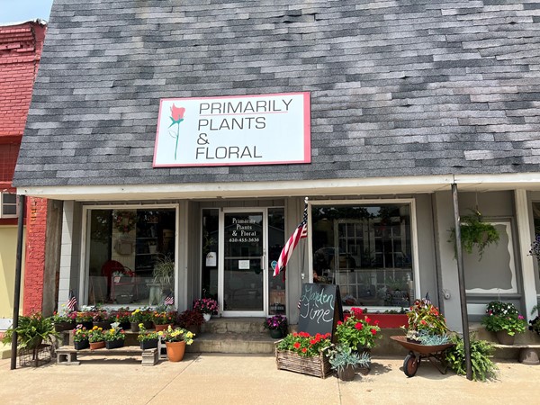 One of the best little flower shops around, Primarily Plants in Oxford 