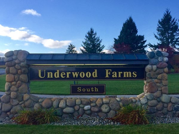 Underwood Farms South has impressive, single family luxury homes 