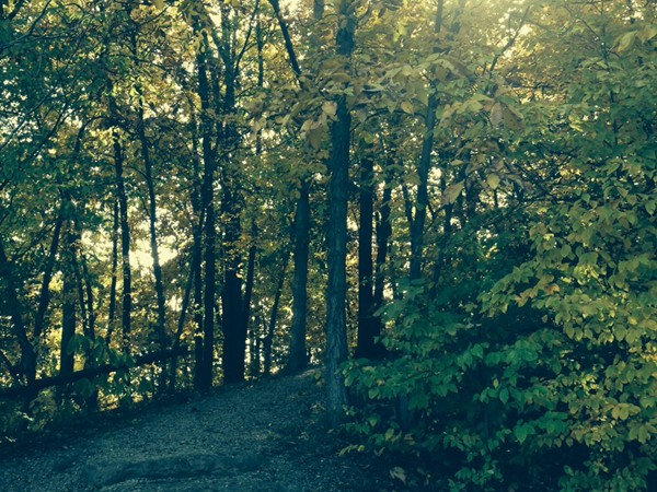 The sun peeking through the leaves on a Riss Lake trail walk to the lake.