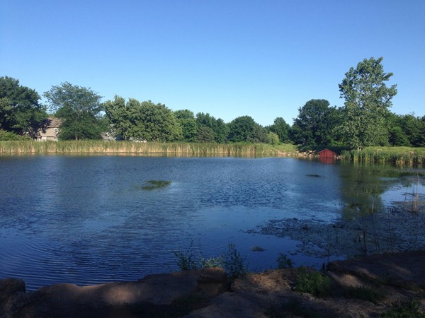 The beautiful pond at Thomas Stoll Park
