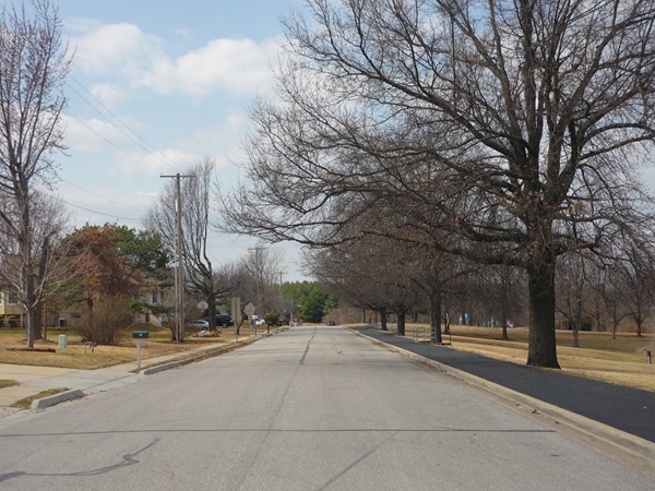 Northwest Park Road from Northwest 9th Street looking west on the edge of Timber Oaks