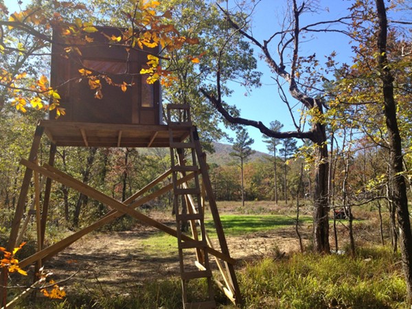 Home away from home. Whitetail deer, bear, turkey, small game. Oklahoma wildlife