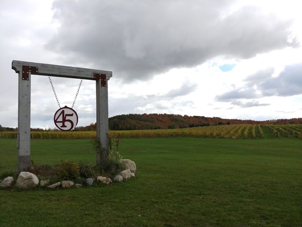 Visit 45 North Vineyards on the 45th Parallel for this awesome autumn view
