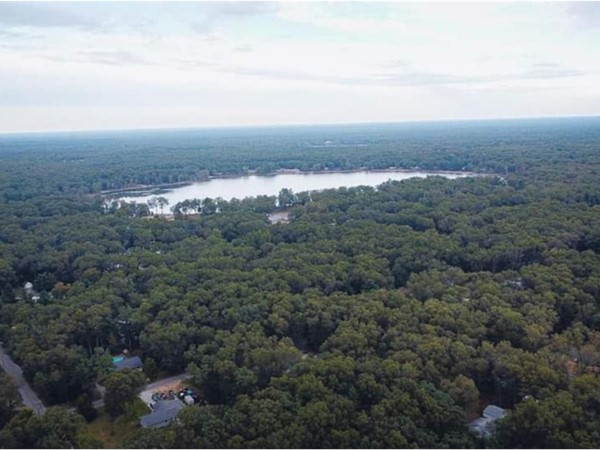 Aerial view of Wolf Lake
