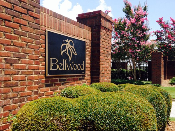 Bellwood in East Montgomery has awesome salt water community pool and family area for its residents 