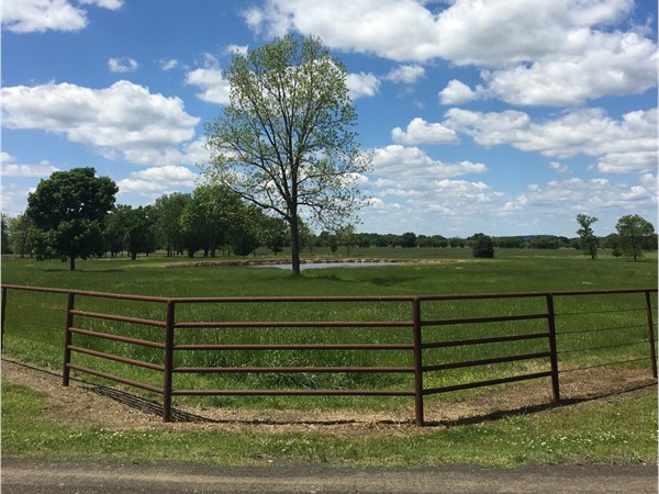Beautiful green pasture on an Arkansas River ranch in Leflore County
