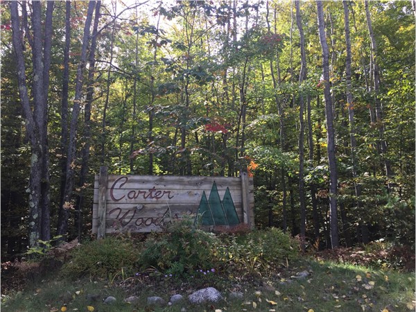 Carter Woods offers private large wooded lots and a short walk to Westwoods Elementary