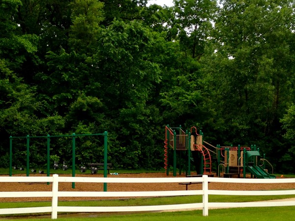 This community has its own private, fenced playground