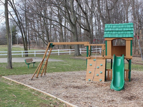 Playground in Ryan Ridge