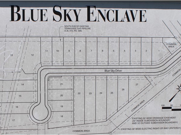 Blue Sky Enclave is a growing development in Sterlington with homes starting in low $300,000's