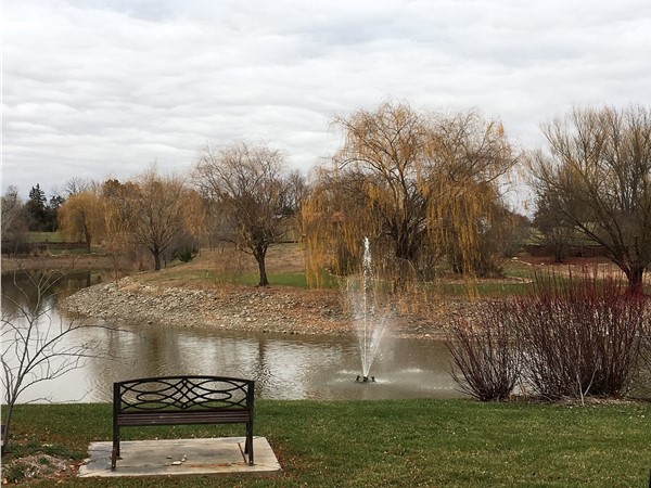 Enjoy the nature that surrounds you at one of the several ponds in Reece Farms