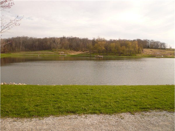 A gorgeous view of the lake at Thomas Mitchell Park
