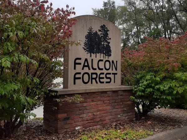 South entrance to Falcon Forest