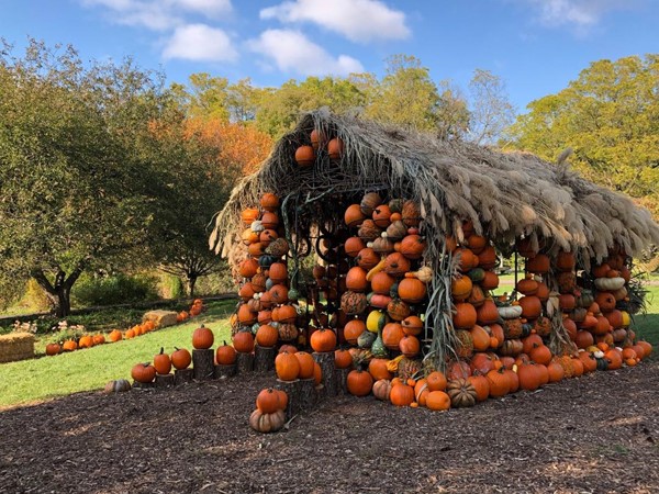 The Pumpkin House is a new exhibit at Fernwood Botanical Gardens and Nature Preserve