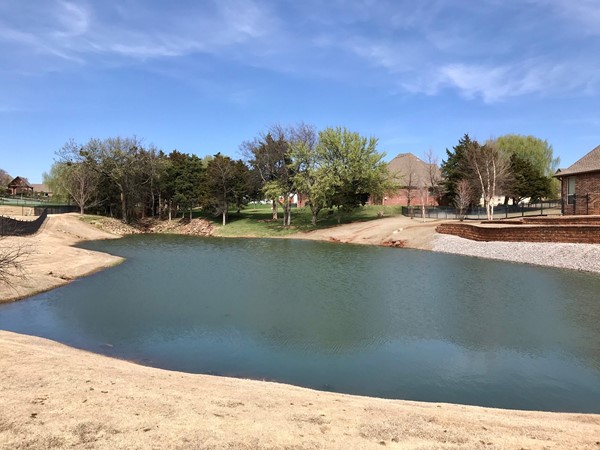 Pond in Phase One