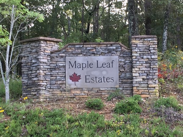 Beautiful Maple Leaf Estates
