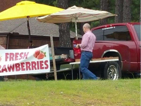 Yum! It's that time of year for fresh strawberries in Little Rock 