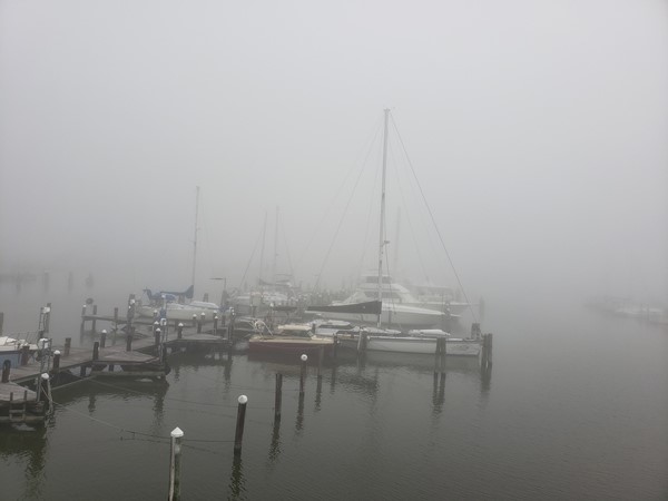 The Pass Harbor. On the foggiest of days it is still the place to be