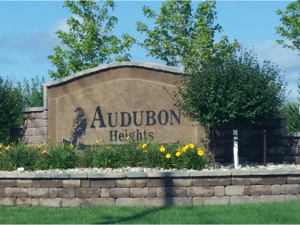 Audubon Heights - a new housing addition in Waterloo 