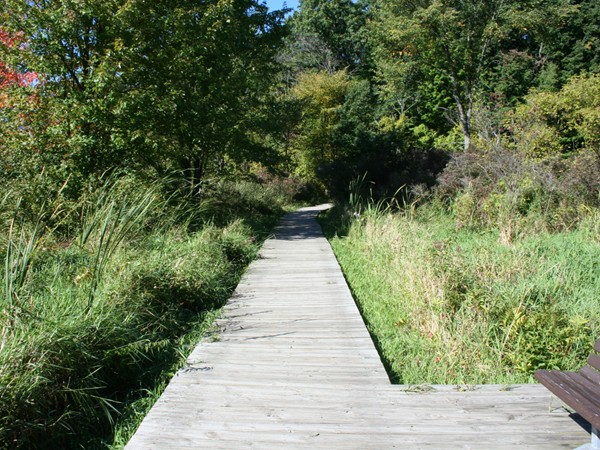 Take a nature walk through the marshes, deciduous, and evergreens located just 10 minutes from MSU