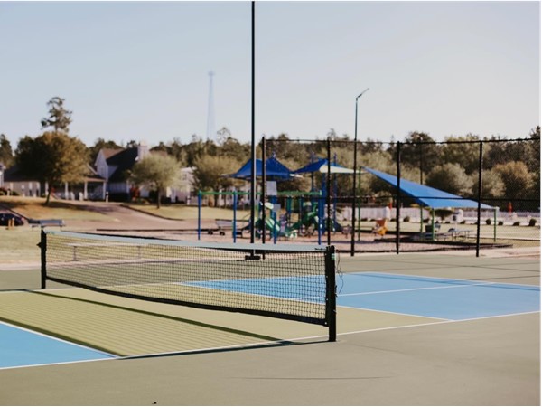 This subdivision has many amenities. The Pickle Ball court could be your family's new favorite