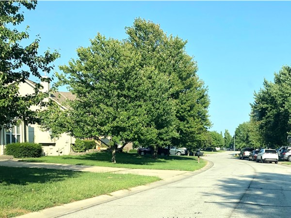 The well-maintained neighborhood of Saddlewood Downs