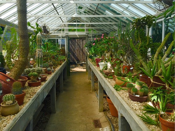 The succulent greenhouse in City Parks Botanical Garden