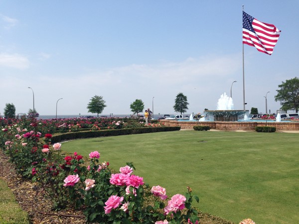 Fairhope Pier Rose garden with Mobile Bay background