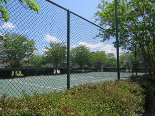 Tennis court at Meadow Run Estates! This neighborhood has fantastic amenities!