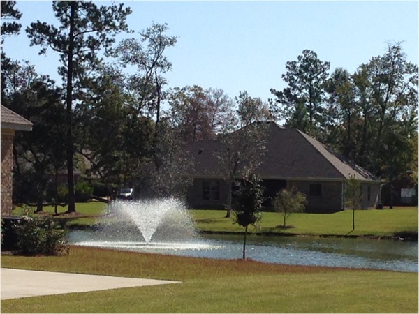 Sehoy offers tree lined streets, community lake and low HOA fees 