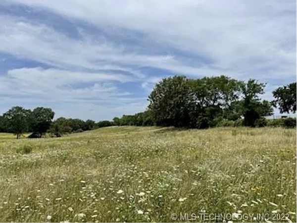 Seclusion, field of wildflowers, and the beauty of Southeastern Oklahoma