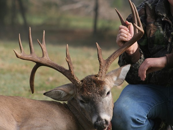 Whitetail droptine deer - Hunters dream - Southeast Oklahoma