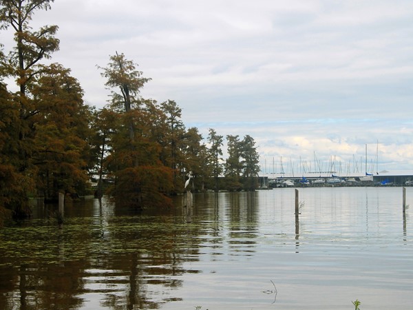 View of Cross Lake from Ford Park in Shreveport