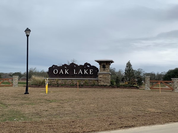 Oak Lake Subdivision, in Ascension Parish