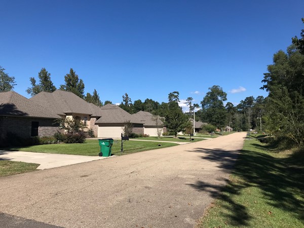 Lakewood Northshore, a view of the homes along the street